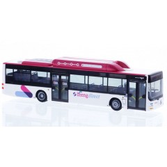 Rietze 72697 MAN Lion's City CNG Breng (NL) 1:87