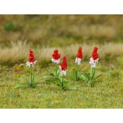 Faller 181267 Orchideeprimula 32 Stuks H0